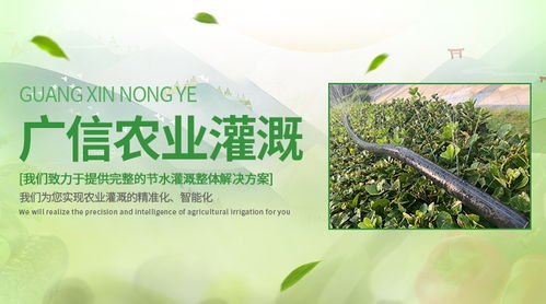 信陽(yáng)市商城縣斜五孔微噴帶全國(guó)發(fā)貨直射在空中的水流就能形成類(lèi)似