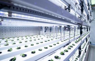 拼多多發(fā)布Q3財(cái)報(bào),&ldquo;百億減免&rdquo;效用顯現(xiàn),繼續(xù)加大投入&ldquo;新質(zhì)供給&rdquo;