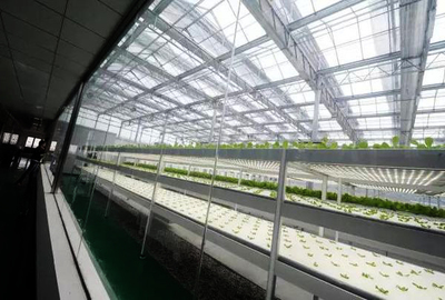 絕了!原來(lái)這就是未來(lái)顛覆農(nóng)業(yè)的六大高科技