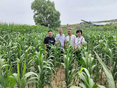 經(jīng)作所三區(qū)特派團(tuán)在渾源縣召開(kāi)對(duì)接會(huì)并開(kāi)展技術(shù)服務(wù)