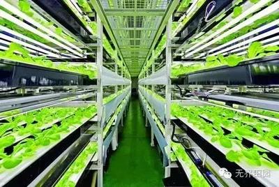 目測這個農(nóng)業(yè)項(xiàng)目要火,日本臺灣的科技巨頭都看好!