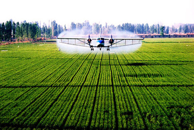 推動農(nóng)業(yè)現(xiàn)代化,政府農(nóng)業(yè)創(chuàng)業(yè)項(xiàng)目的重要性