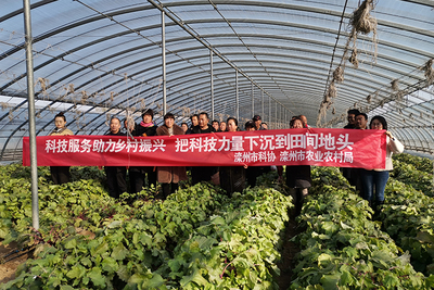 灤州市科協開展科技下鄉助農服務活動