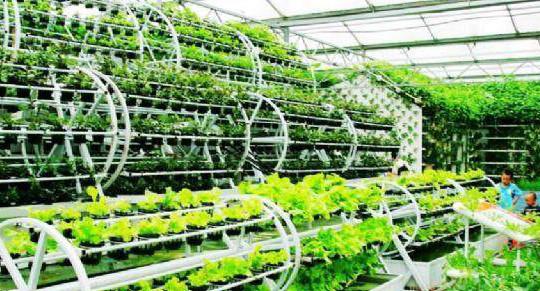 生態(tài)農(nóng)業(yè)和旅游有機結合的方式?