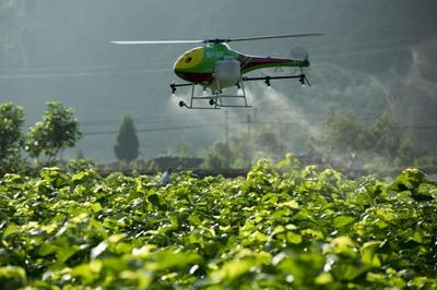 重磅|看京東、金少江、百果園、順豐如何淘金智慧農(nóng)業(yè)