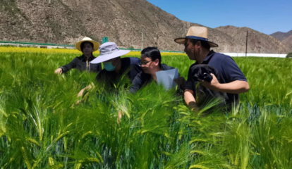 提升創(chuàng)新能力 推動成果轉化--州農(nóng)技站2022年度&ldquo;三區(qū)&rdquo;科技服務工作紀實