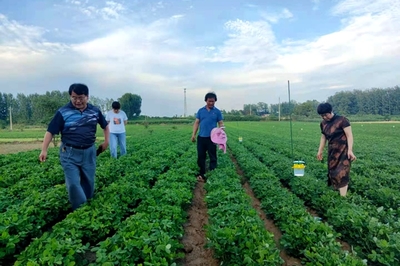 學黨史辦實事!河南桐柏縣將農業科技送到田間地頭