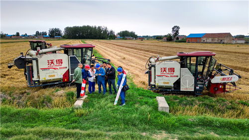國網(wǎng)滁州供電公司 奮戰(zhàn) 三夏 保障定遠138萬畝小麥顆粒歸倉