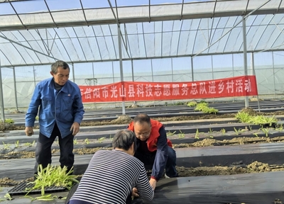 信陽市科學技術(shù)協(xié)會官網(wǎng)