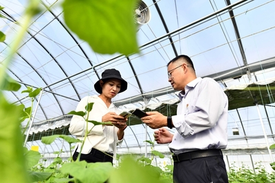 地頭來了鄉村振興服務隊