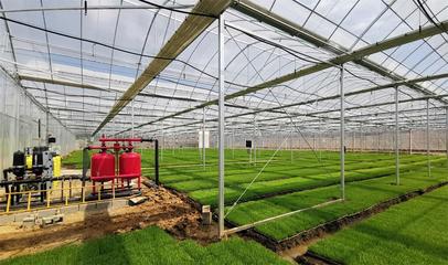 桐城:建設(shè)&ldquo;數(shù)字鄉(xiāng)村&rdquo; 科技強(qiáng)農(nóng)促振興