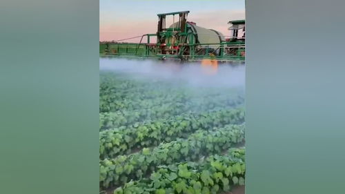 食品銷售,商超對接等農(nóng)業(yè)相關的業(yè)務 并友情關聯(lián)相關部門投資農(nóng)業(yè)基礎建設,合作一帶一路國際業(yè)務,公司的服務宗旨在于合作共贏