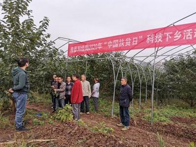 科技賦能鄉(xiāng)村振興——市科技局組織開展科技特派員下鄉(xiāng)服務活動