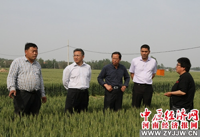 河南農業(yè)大學 科技套餐送達田間地頭，精準服務助推鄉(xiāng)村振興