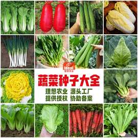 10000克大米背后的農業科技服務 從一粒種子到萬家餐桌的智慧之旅